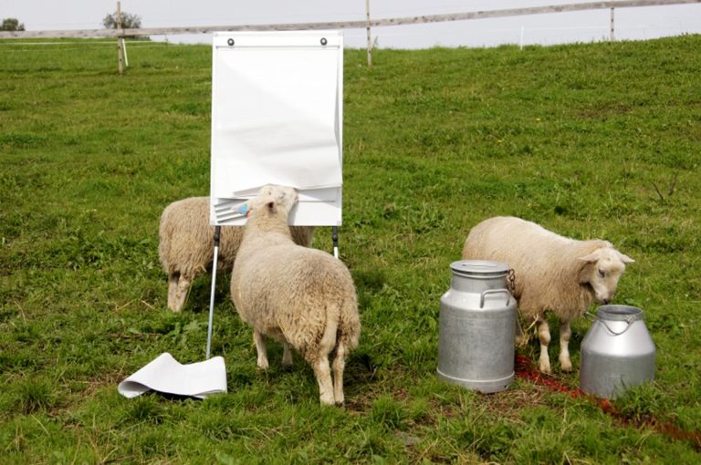 husfrua-grdshotell_51943552188_o