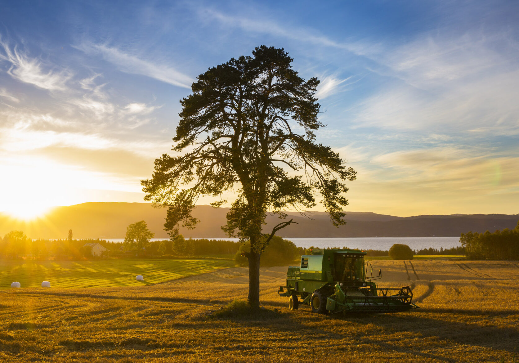 rostad_høst2_foto_lena_johnsen kopi